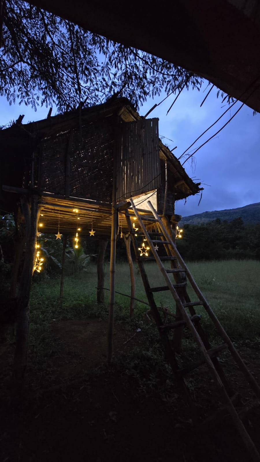 Odyssey Farm Wai