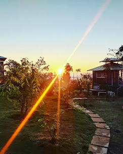 FORREST HOMESTAY