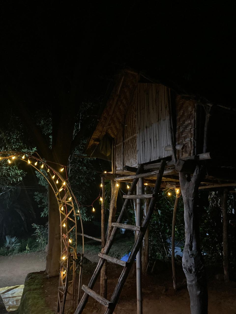 Odyssey Farm Wai