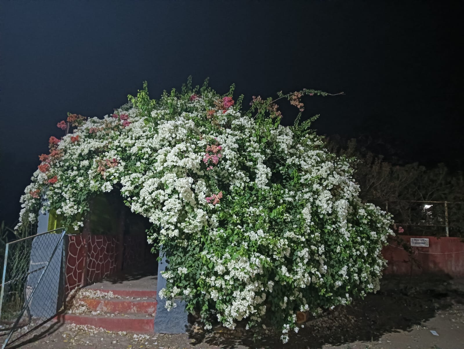 Ekant Farmhouse and Resorts