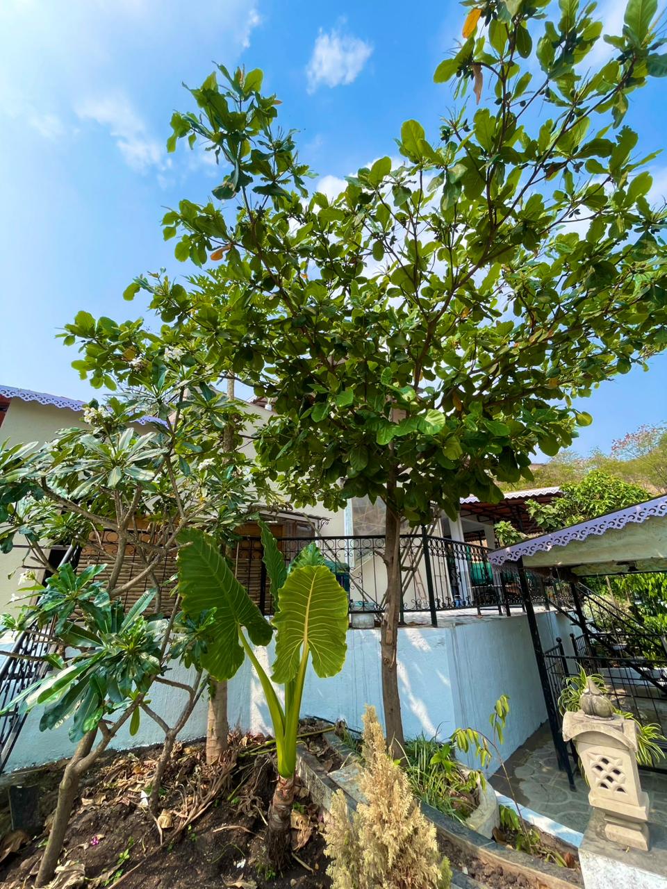Gaikwad's Woods Villa